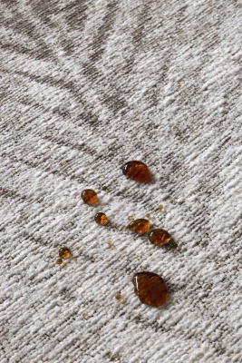 Фото Ковер Java Ivory 160х230 см